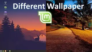 🖼️ Different Lock Screen and Home Screen  Wallpaper- Linux Mint 20 Customize Lock Screen