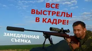 Охота на СУРКА! Только лучшее! Только выстрелы! Замедленная съемка...