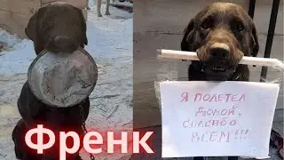 Нашему каналу исполнился год! Мы с вами спасли сотни жизней и сколько еще впереди!