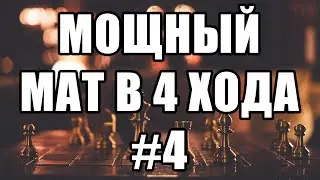Мат в 4 хода шахматные задачи. Шахматы решение задач по шахматам. Двойной удар. Головоломки шахмат.