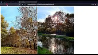 Image Magnifier JS Plugin DEMO