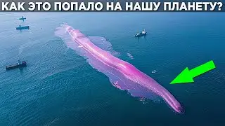 Ученые В Тупике! Они Не Понимают КАК Этот ОБЪЕКТ Оказался На Нашей ПЛАНЕТЕ!