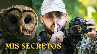 Trucos para encontrar búhos FÁCIL a tu alrededor 🦉📸