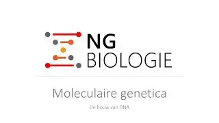 Moleculaire genetica - de bouw van DNA - HAVO/VWO