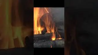 Ancient Primitive Cooking Technique. #survival #primitive