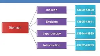 2023 CPT  CODING GUIDELINES FOR SURGERY  DIGESTIVE SYSTEM  Part 8A