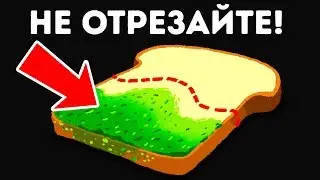 Что Произойдет, Если вы Съедите Хлеб, Покрытый Плесенью?