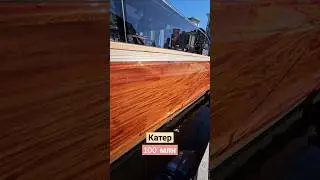 Катер для VIP из Санкт-Петербурга на St. Petersburg International Boat Show. Не для рыбалки.