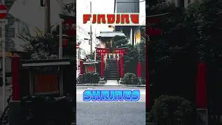 Finding shrines in Tokyo Pt 1 #japan #temple #love #shortvideo