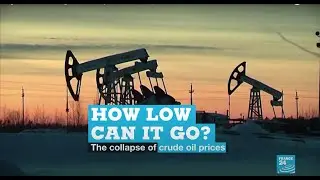 How low can it go? The collapse of crude oil prices