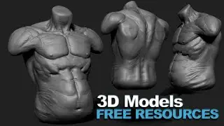 Creating and Sharing Free 3D Models for Artists - Sculpting a Torso