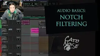 Audio Basics: Notch Filtering