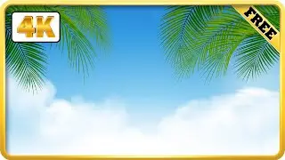 Blue sky with Palm leaves branch video loops