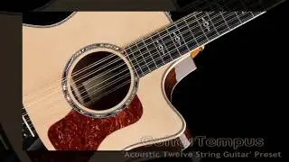 Virtual 12 String Acoustic Guitar by GuitarTempus VST VST3 Audio Unit EXS24 KONTAKT