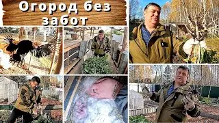 Огород без забот.