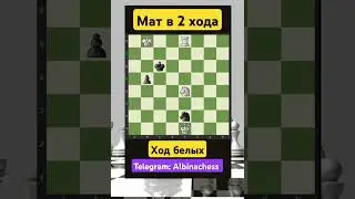 Telegram: Albinachess #chess #шахматы #chorts