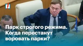 Парк строгого режима. Когда перестанут воровать парки?