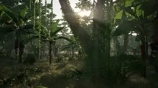 Unreal Engine 5 Cinematic Render 4K | Tropical Rainforest Scene