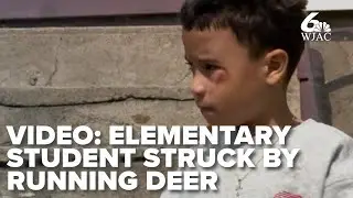 VIDEO: PA elementary school student struck by running deer while standing on sidewalk