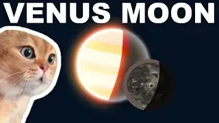 Venus Has A Moon? NO But YES