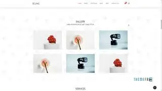 Seline - Creative Photography & Portfolio WordPress Theme