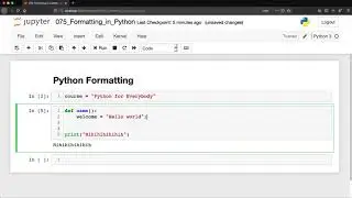 Python: Formatting in Python