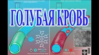 Кровавая история: Голубая кровь.| Виктор Максименков