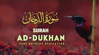 Surah Ad-Dukhan "surah ad-dukhan full  On Omar Hashim سورة الدخان