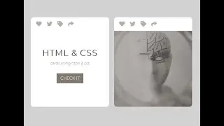 [ HTML & CSS] : css card hover effects