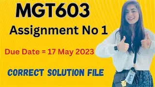 MGT603 Assignment 1 Solution |Spring 2023  MGT603 Assignment 1 Solution 2023|