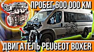 РАЗБИРАЮ ДВИГАТЕЛЬ PEUGEOT BOXER///МАКСИМАЛЬНО ПРОСТОЙ АГРЕГАТ