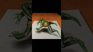 Drawing 3D Jumping Frog