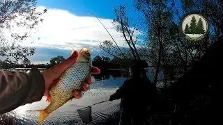 Удачная рыбалка на Москва-реке в мае. Нижнее течение. Фидер. | Feeder fishing. Roach, bream.