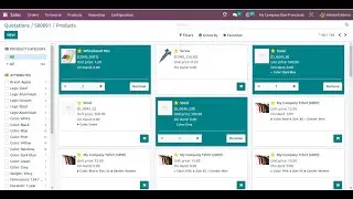 Sales Catalog Feature In Odoo 17 || Odoo 17 Features