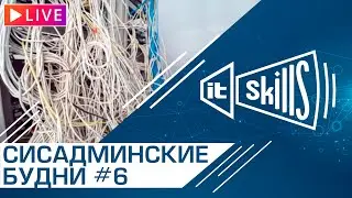 Будни сисадмина #6 | IT-Skills Chat #itskills #сисадмин