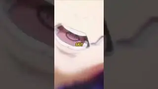 What is Inumaki been saying this whole time?? | Jujutsu Kaisen Fun fact you might not know