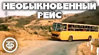 Необыкновенный рейс (1983). Душевная комедийная короткометражка