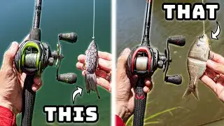 Beginners Guide To BETTER Lures For Bank Fishing This Summer!