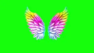 wings | Green screen wings | wings on green background | green screen videos | angel wings