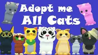 All Cats in Adopt me
