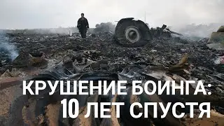 10 лет страны спорят кто сбил малайзийский Боинг 777 над Донбассом