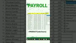 auto payroll mgt in excel 