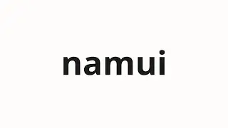 How to pronounce namui | 남의 (South in Korean)