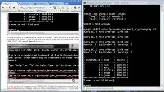 MySQL Basics II