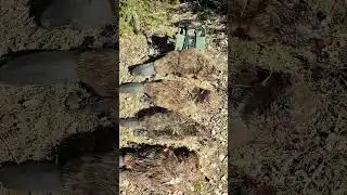 Охота на бобра с Иж 18мн 223рем. Рюкзак для охоты.