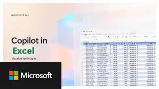 Copilot in Excel | Identify key insights