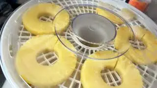 Cosori Food Dehydrator 
