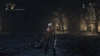 Bloodborne - Мёртвый Гигант без хилок - Undead Giant with no heal