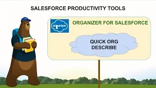 What is Quick ORG Describe Feature in Salesforce Organizer? | Salesforce Productivity Tools