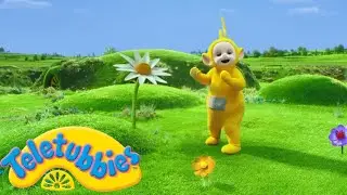 Teletubbies | Laa Laa and Giant Flowers | 2 HOURS | Official Season 16 Compilation